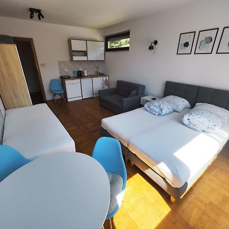 Apartamenty Monterska Bielsko-Biala Bagian luar foto